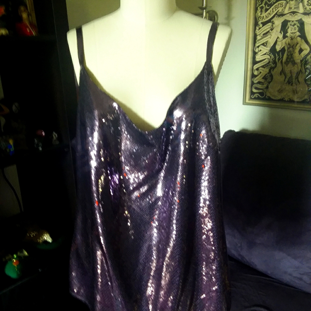 Z from Zenobia Mauve Sequined Cami plus size 22